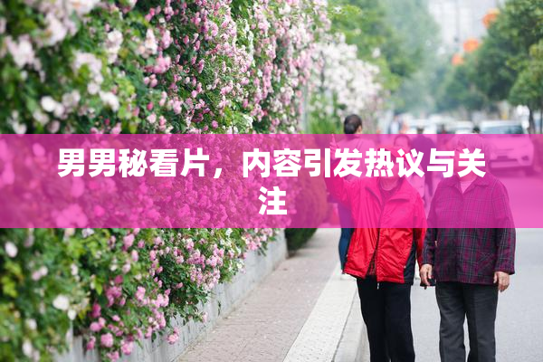 男男秘看片，内容引发热议与关注