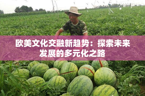 欧美文化交融新趋势：探索未来发展的多元化之路