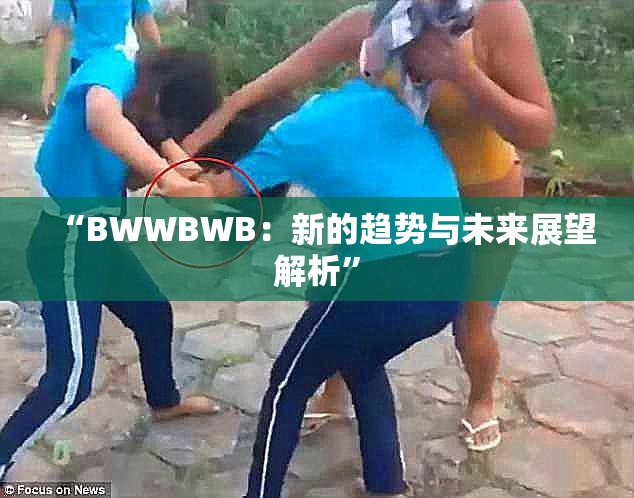 “BWWBWB：新的趋势与未来展望解析”