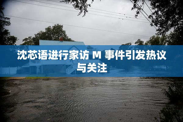 沈芯语进行家访 M 事件引发热议与关注