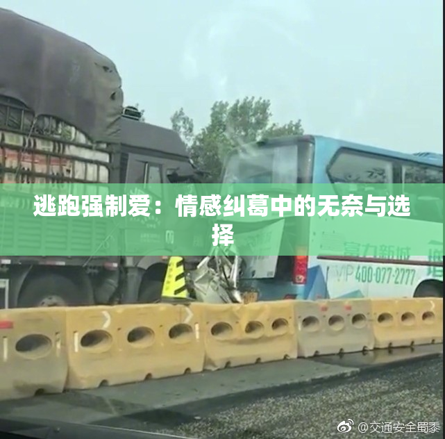 逃跑强制爱：情感纠葛中的无奈与选择