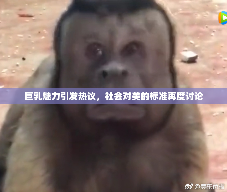 巨乳魅力引发热议，社会对美的标准再度讨论