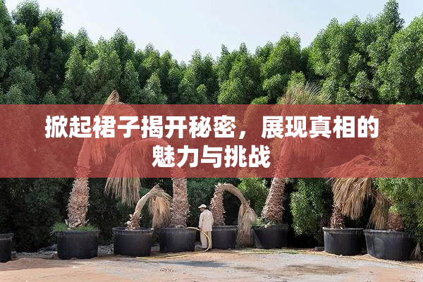 掀起裙子揭开秘密，展现真相的魅力与挑战