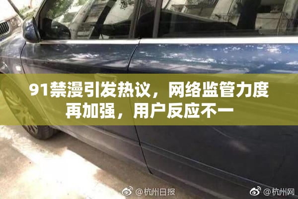 91禁漫引发热议，网络监管力度再加强，用户反应不一