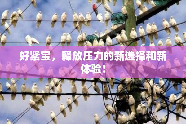 好紧宝，释放压力的新选择和新体验！