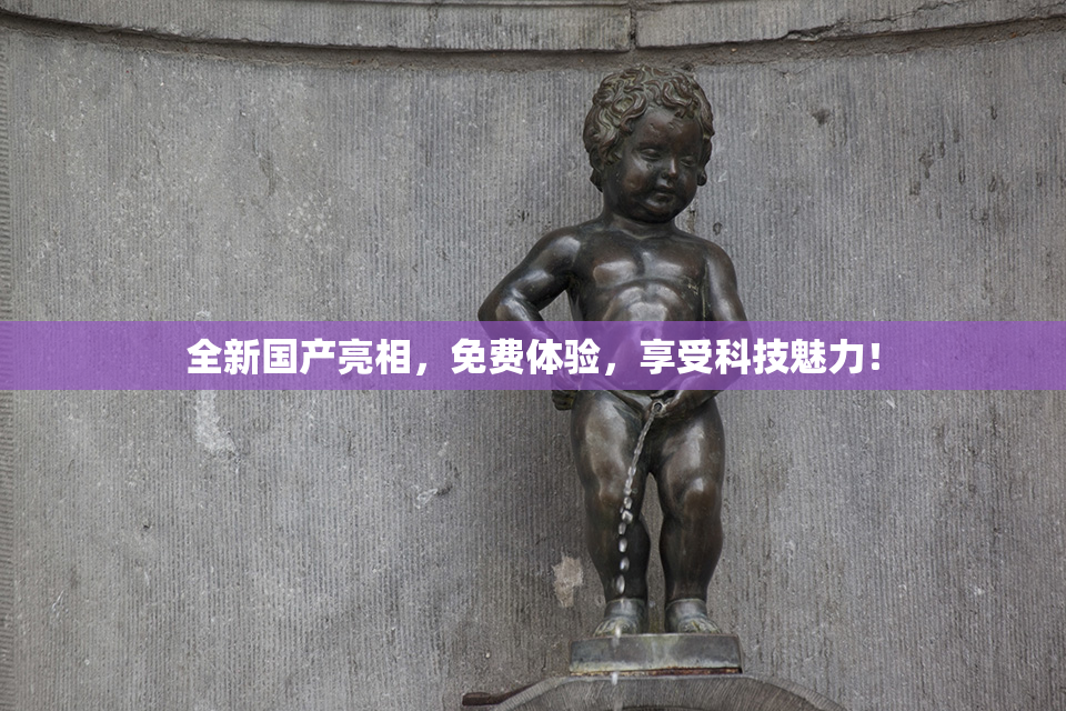全新国产亮相，免费体验，享受科技魅力！