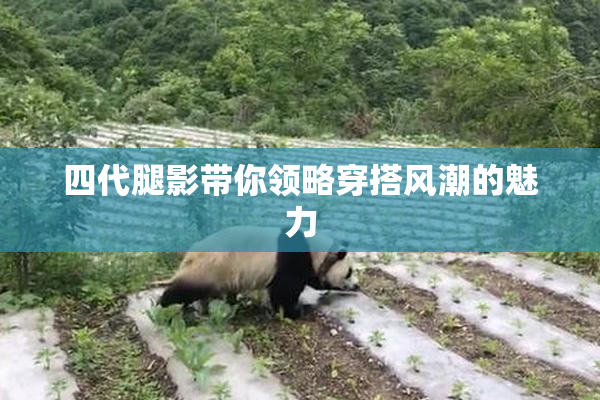 四代腿影带你领略穿搭风潮的魅力