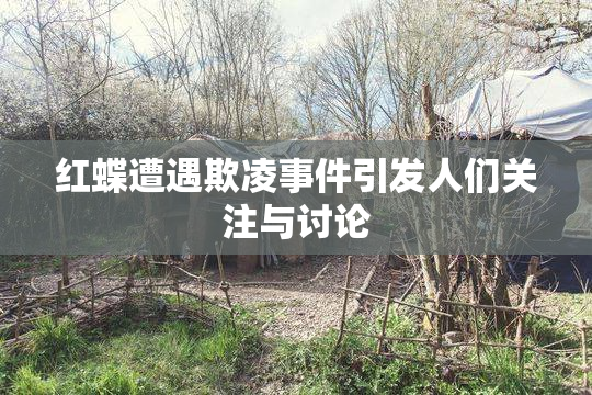 红蝶遭遇欺凌事件引发人们关注与讨论