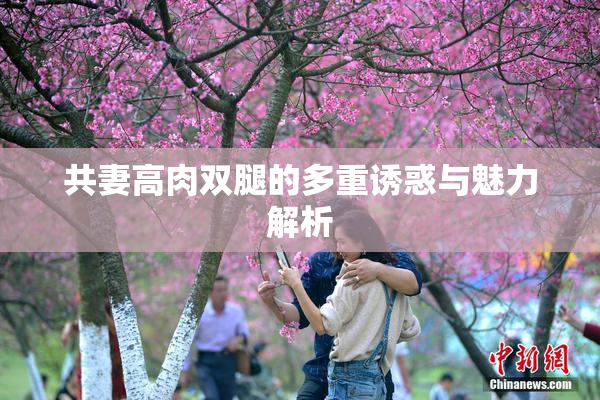 共妻高肉双腿的多重诱惑与魅力解析