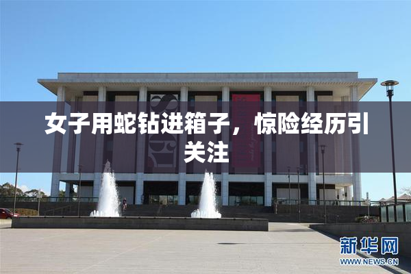 女子用蛇钻进箱子，惊险经历引关注