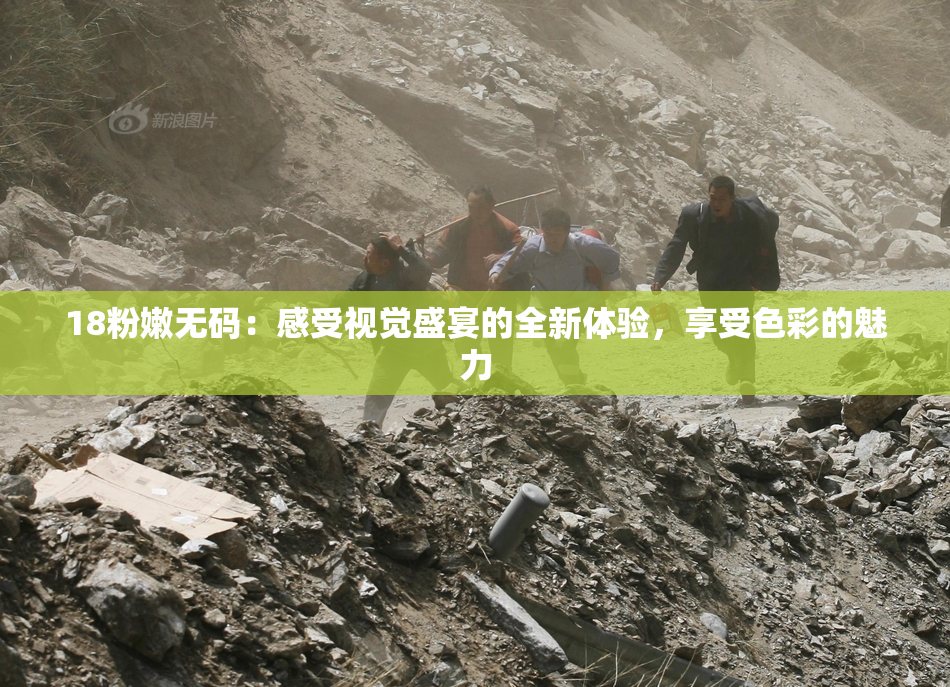 18粉嫩无码：感受视觉盛宴的全新体验，享受色彩的魅力