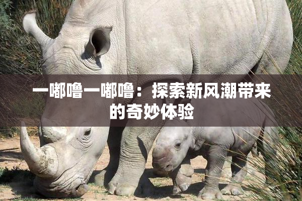 一嘟噜一嘟噜：探索新风潮带来的奇妙体验