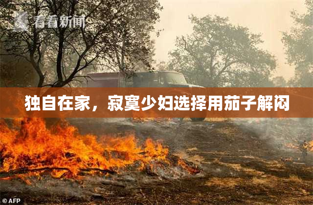 独自在家，寂寞少妇选择用茄子解闷