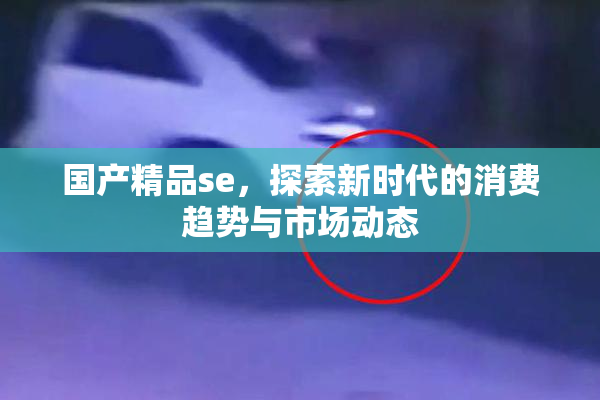 国产精品se，探索新时代的消费趋势与市场动态