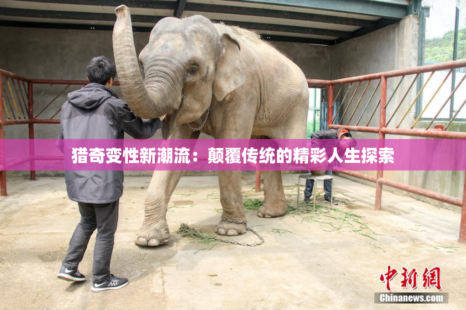 猎奇变性新潮流：颠覆传统的精彩人生探索