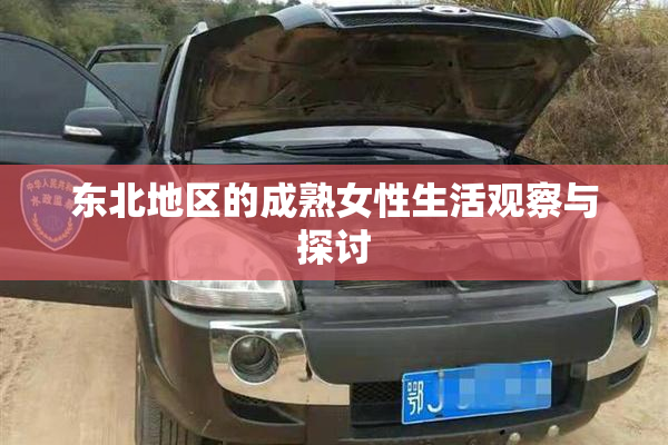 东北地区的成熟女性生活观察与探讨