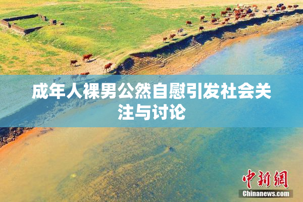 成年人裸男公然自慰引发社会关注与讨论