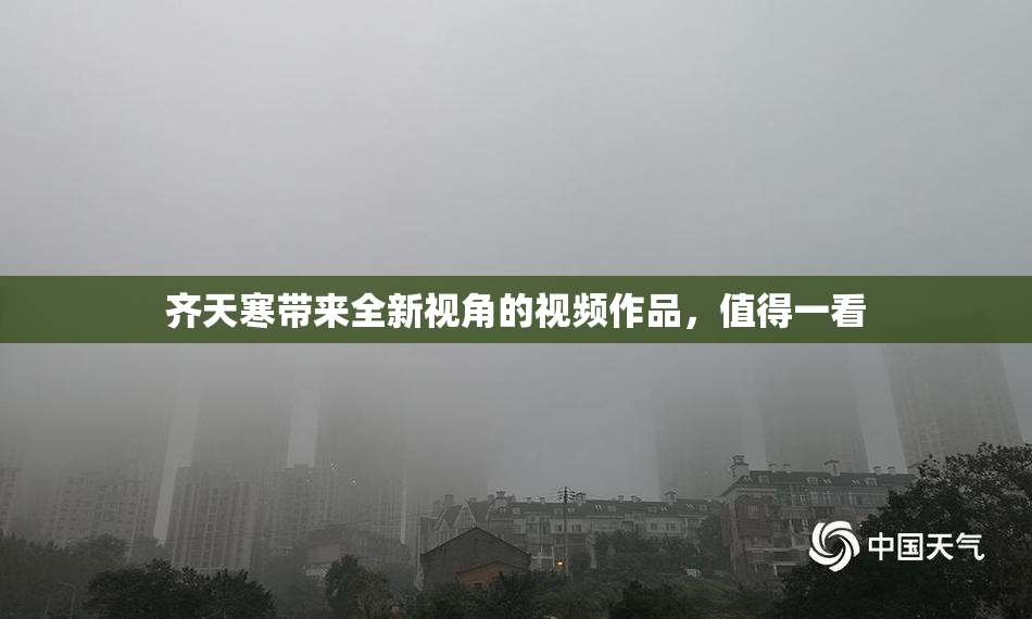 齐天寒带来全新视角的视频作品，值得一看