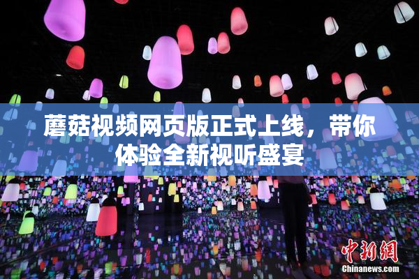 蘑菇视频网页版正式上线，带你体验全新视听盛宴