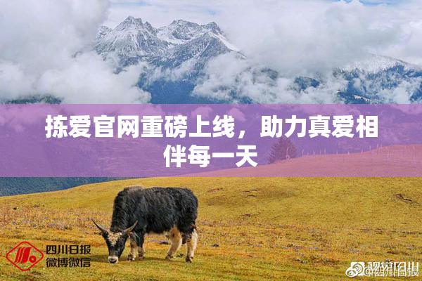 拣爱官网重磅上线，助力真爱相伴每一天