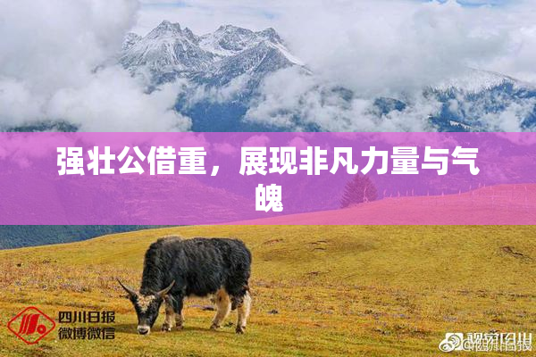 强壮公借重，展现非凡力量与气魄