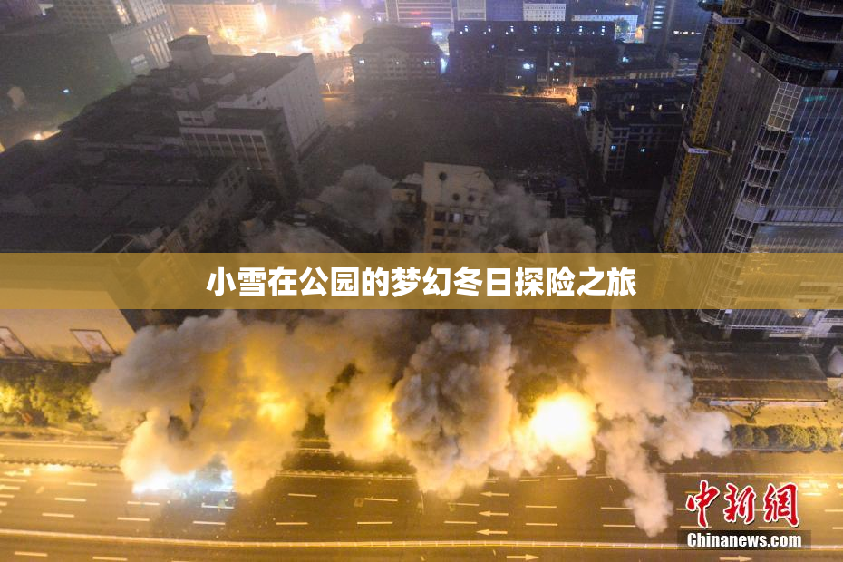 小雪在公园的梦幻冬日探险之旅