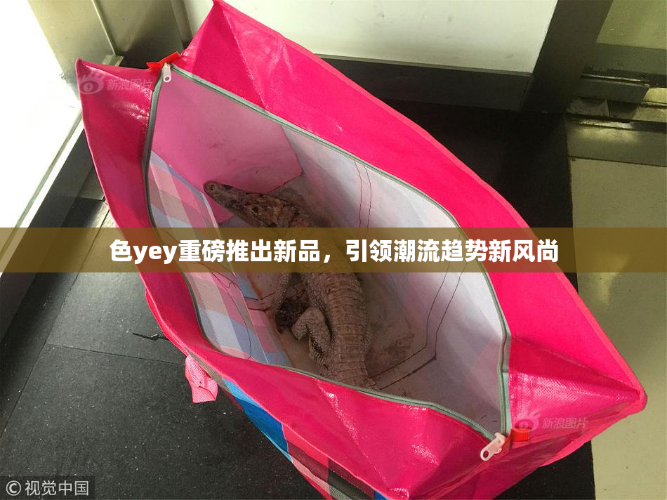 色yey重磅推出新品，引领潮流趋势新风尚