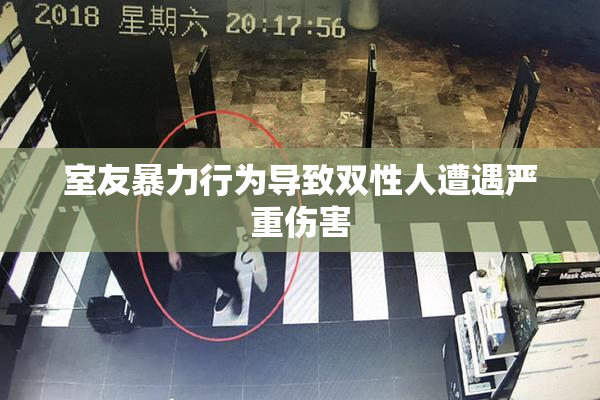 室友暴力行为导致双性人遭遇严重伤害