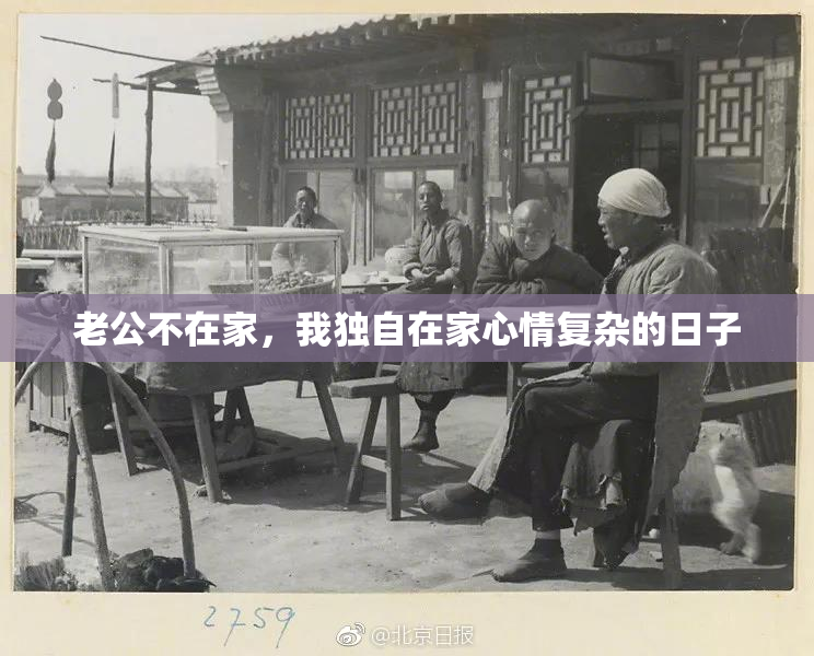 老公不在家，我独自在家心情复杂的日子