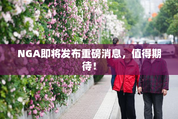NGA即将发布重磅消息，值得期待！