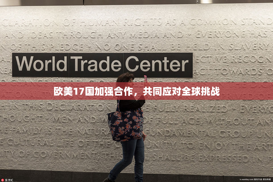 欧美17国加强合作，共同应对全球挑战