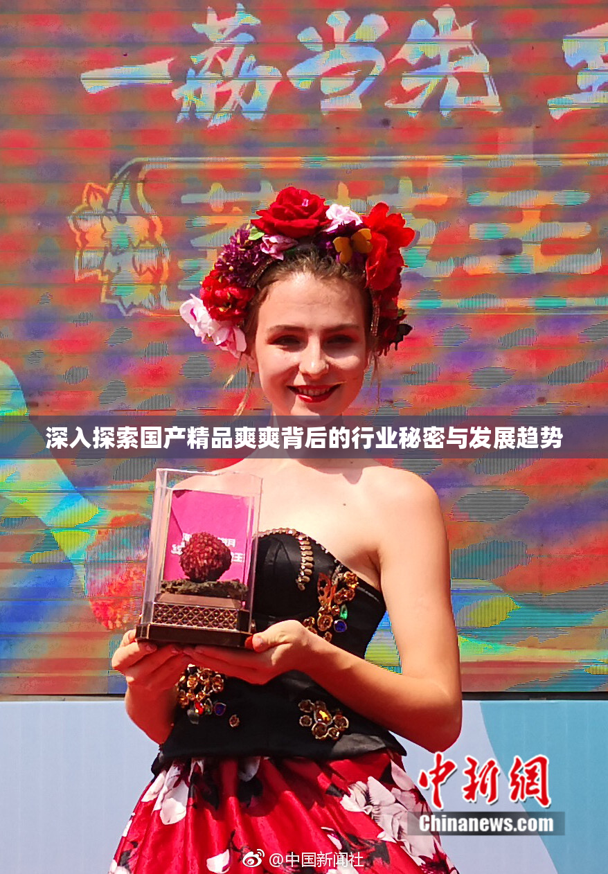 深入探索国产精品爽爽背后的行业秘密与发展趋势