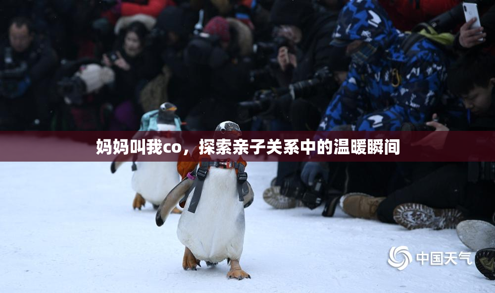 妈妈叫我co，探索亲子关系中的温暖瞬间