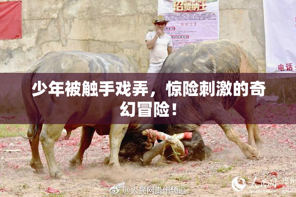 少年被触手戏弄，惊险刺激的奇幻冒险！