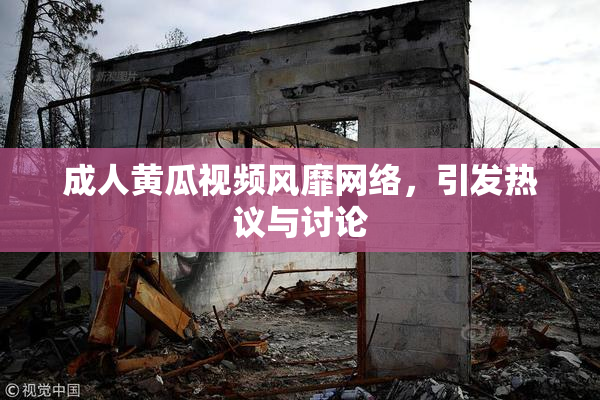 成人黄瓜视频风靡网络，引发热议与讨论