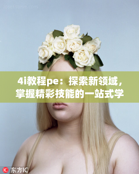 4i教程pe：探索新领域，掌握精彩技能的一站式学习指南