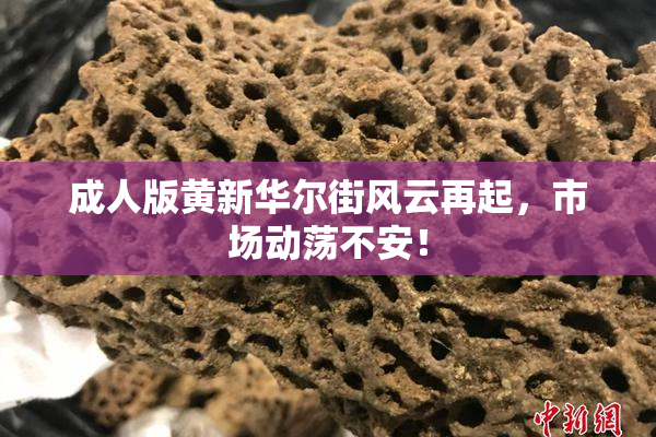 成人版黄新华尔街风云再起，市场动荡不安！