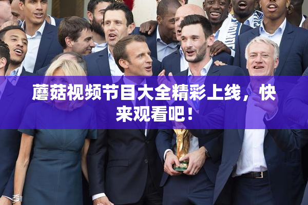 蘑菇视频节目大全精彩上线，快来观看吧！