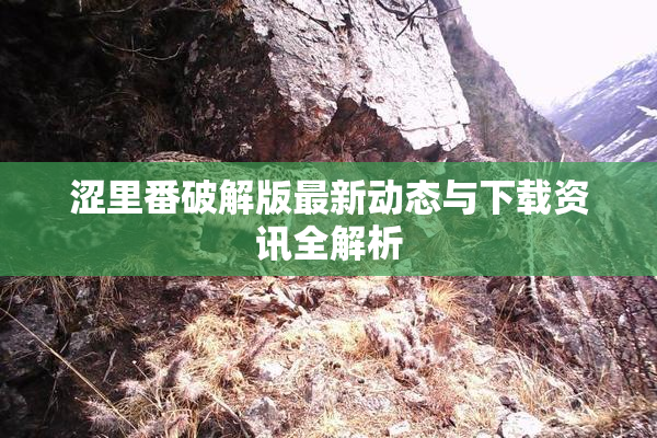 涩里番破解版最新动态与下载资讯全解析