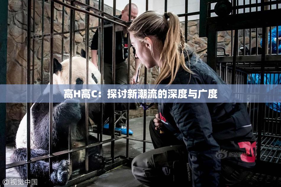 高H高C：探讨新潮流的深度与广度
