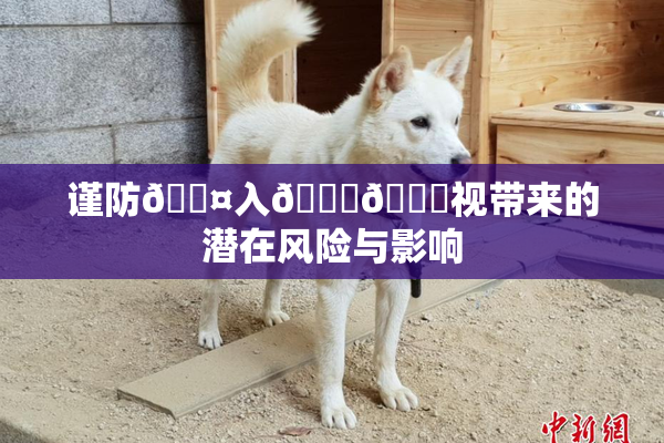 谨防🐤入🍑🍑视带来的潜在风险与影响