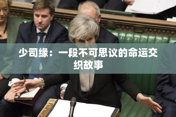 少司缘：一段不可思议的命运交织故事