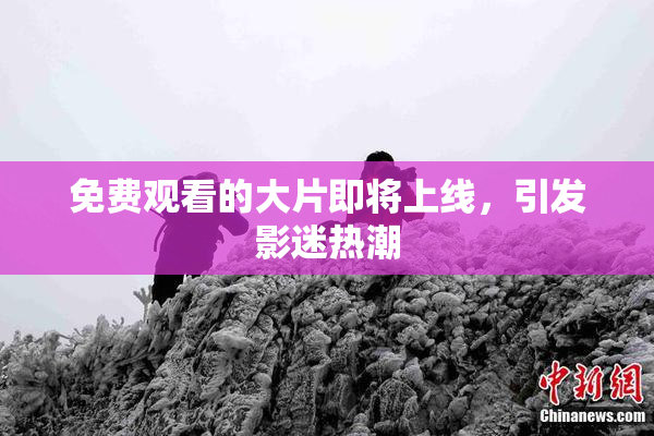 免费观看的大片即将上线，引发影迷热潮