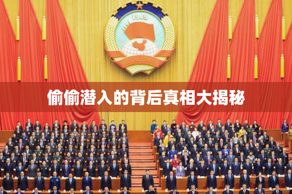 偷偷潜入的背后真相大揭秘