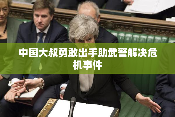中国大叔勇敢出手助武警解决危机事件