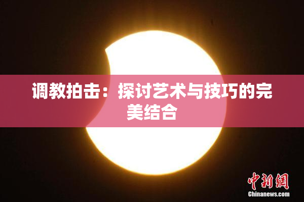 调教拍击：探讨艺术与技巧的完美结合