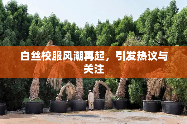 白丝校服风潮再起，引发热议与关注