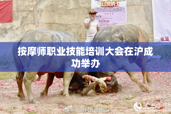按摩师职业技能培训大会在沪成功举办