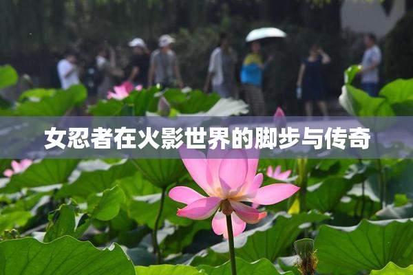 女忍者在火影世界的脚步与传奇