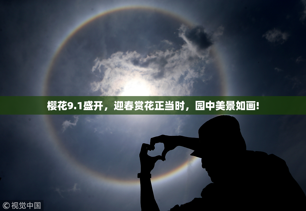 樱花9.1盛开，迎春赏花正当时，园中美景如画!